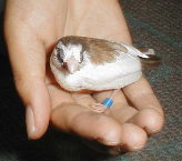 ���ʗp���ւ�t���܂���