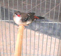 �N���b�N����ƁA�����ꖇ�̎ʐ^������܂�