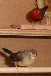 �H���{���{��