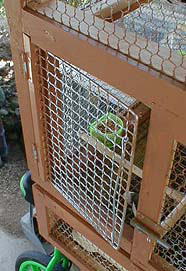 �n�C�c�F�a����J����