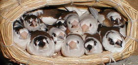 ���イ���イ��D���H