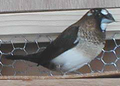 ���F�N��