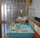 �����Ȃ����W��