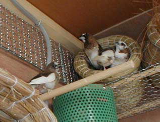 �N����ƁF�󂫑��_��