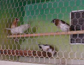 �^���̑Ό�