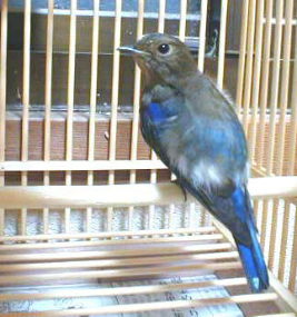 �l���N���b�N���āA���L�փW�����v�I