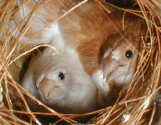 ���A����I�e�̈Ӓn�A���炢���I