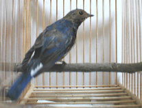 �v���Ԃ�ɎB�ꂽ�A�w���̃V���b�g