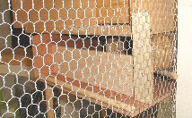 �ّ��̑O��3cm�̌��Ԃ��c���K�[�h�I