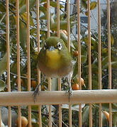 ���傠�����I�@�@���X�Ƃ�������ł��B