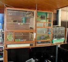 �����S�̐}