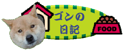 �S���̓��L