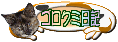 �S���N�~���L