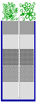 ��˂̖��ߕ�4