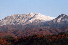 ���������@��R