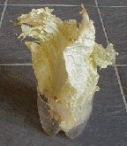 青菜立て