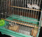 ���ӂ̕ʋ��P�[�W