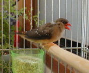 �x�j�X�Y���F�G��