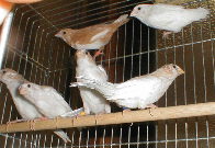 �~�܂�؂ɂ���4�H���A����������