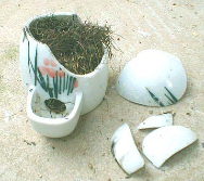 �������苒�����A���肵���a