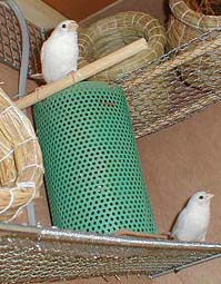 �y�b�g�q�[�^�[