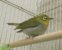 �ْ����郁�W��