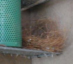 �������n�߂���