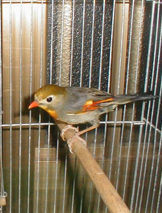 �\�E�V�`���E