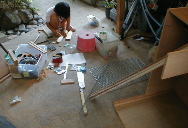 �A�~����񂨎�`���H