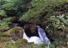 ���܂������k�J