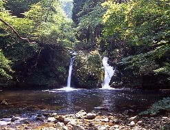 �s����i����j