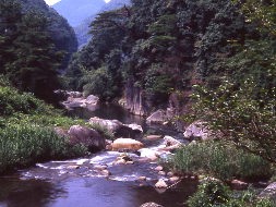 �Ή��k�i�����j