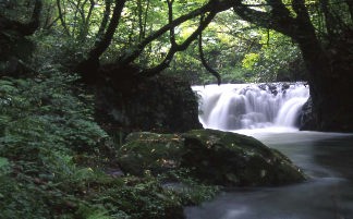 �������d��