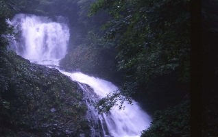 �������d��i������j