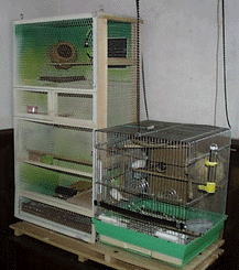 �Q�������q�����}