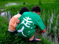 �玙�|�P�Q�U�P