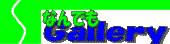 ���܂���ɎB���Ă܂��B
